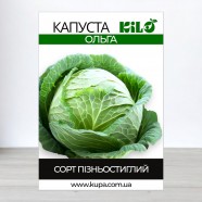 Насіння капусти Ольга, 0,5 кг